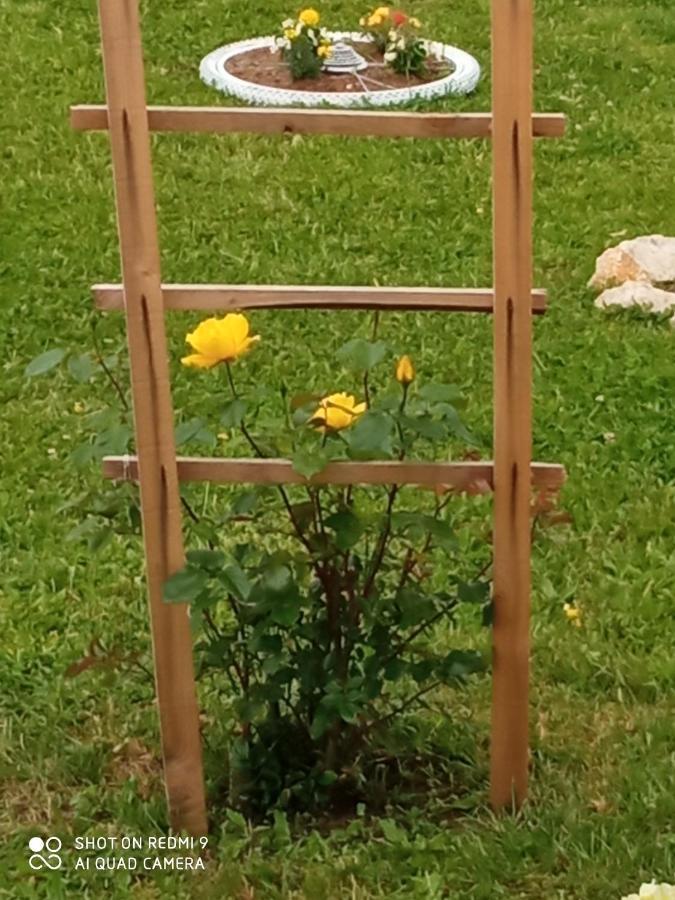 Yellow Rose Rakovica Ngoại thất bức ảnh