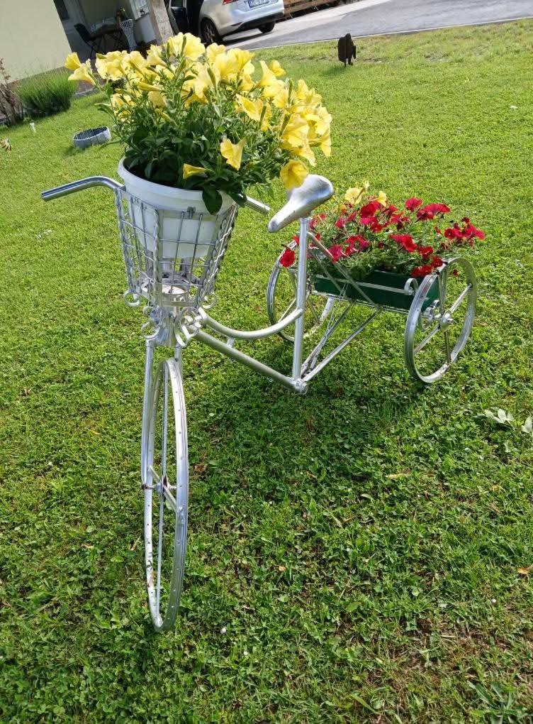 Yellow Rose Rakovica Ngoại thất bức ảnh